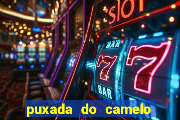 puxada do camelo jogo do bicho